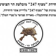 731